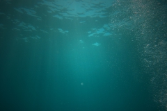 fon4-compressor